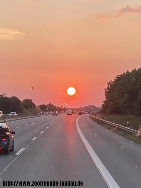 Magdeburg - Rückreise mit Sonnenuntergang über der Autobahn - Gerhard Krebs