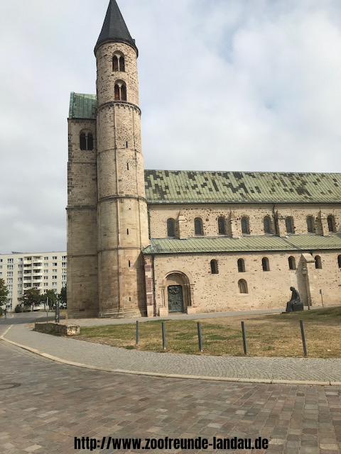 Magdeburg - Kloster „Unserer Lieben Frauen“ - Johannes Theobald