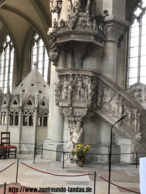 Magdeburg - kunstvoll verzierte Kanzel im Magdeburger Dom - Johannes Theobald