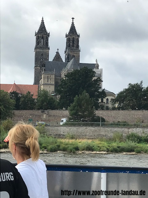 Magdeburg - Dom Magdeburg von der Elbseite - Johannes Theobald