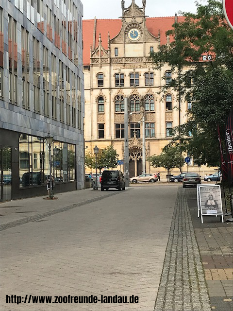 Magdeburg - Rathaus - Johannes Theobald