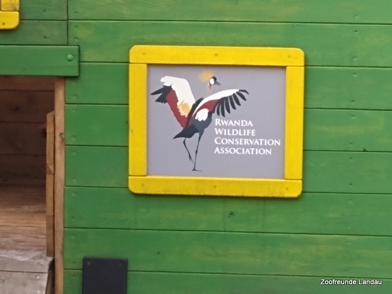 Rwanda Wildlife Conservation Association