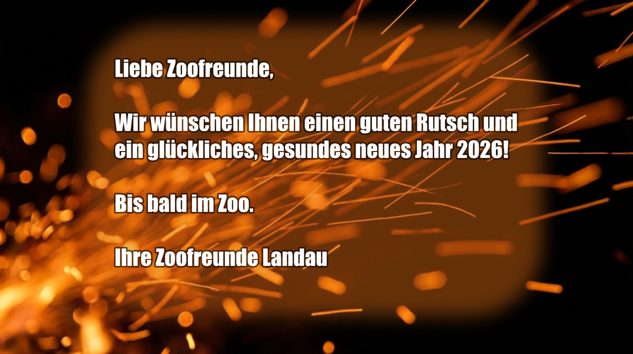 Grüße zum neuen Jahr